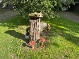 IMG_0185